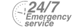24/7 Emergency Service Pest Control in Richmond Hill, Richmond Park, TW10. Call Now! 020 8166 9746
