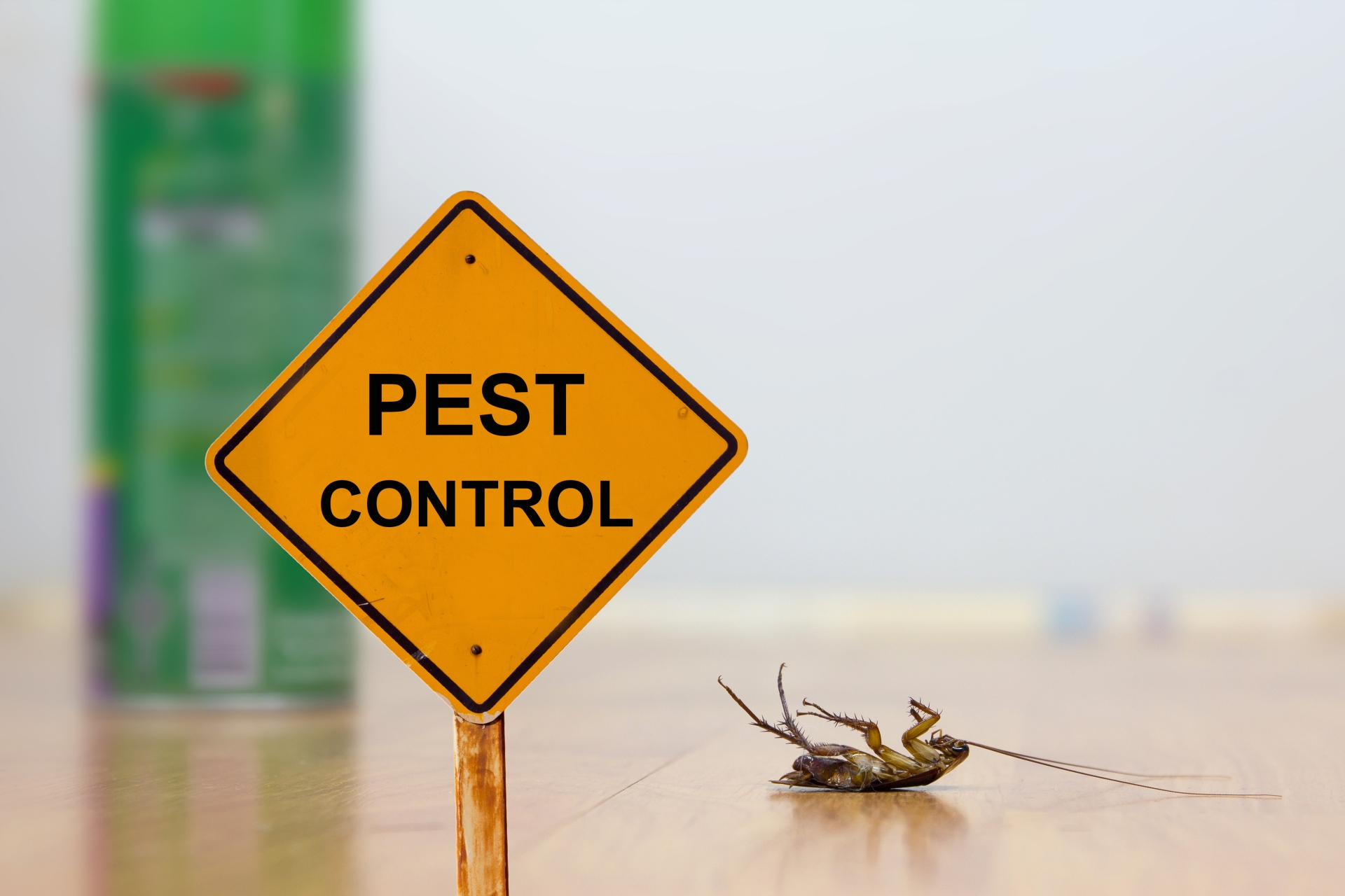 24 Hour Pest Control, Pest Control in Richmond Hill, Richmond Park, TW10. Call Now 020 8166 9746